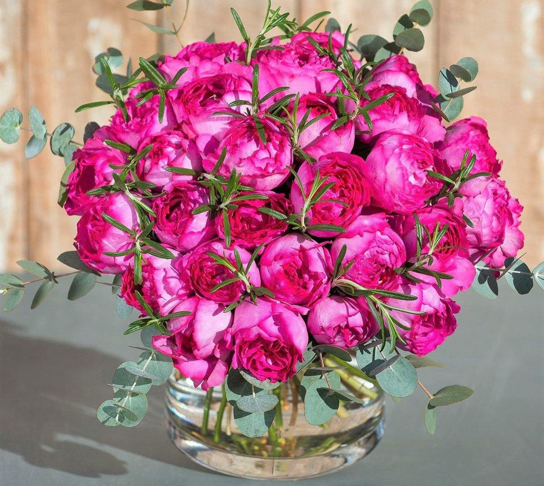 Colectia de trandafiri pentru gradina recomandati pentru buchete de flori taiate - Famous Roses