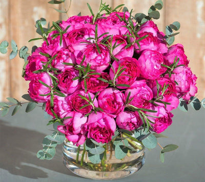 Colecția de trandafiri pentru grădină recomandați pentru buchete de flori tăiate