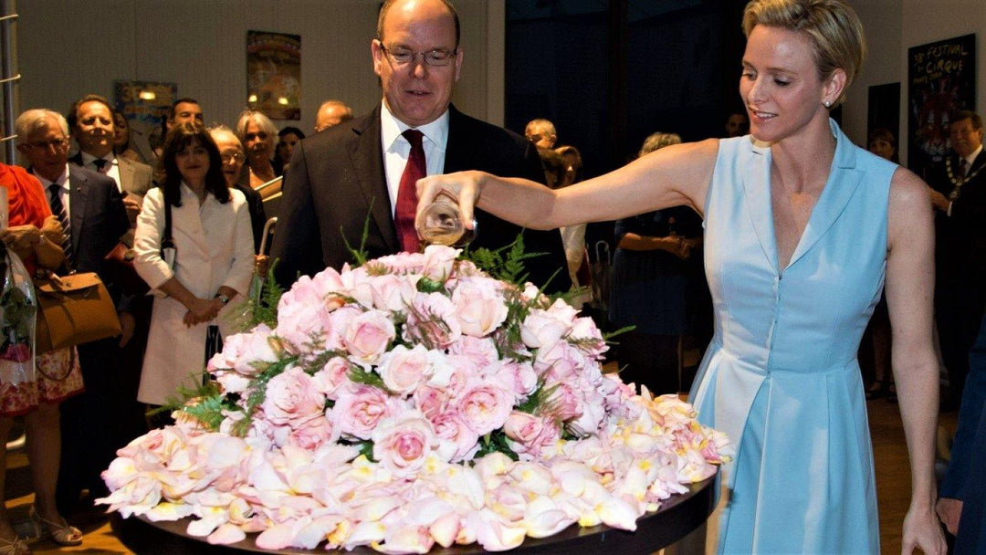 Trandafiri de Gradina Celebri - Famous Roses