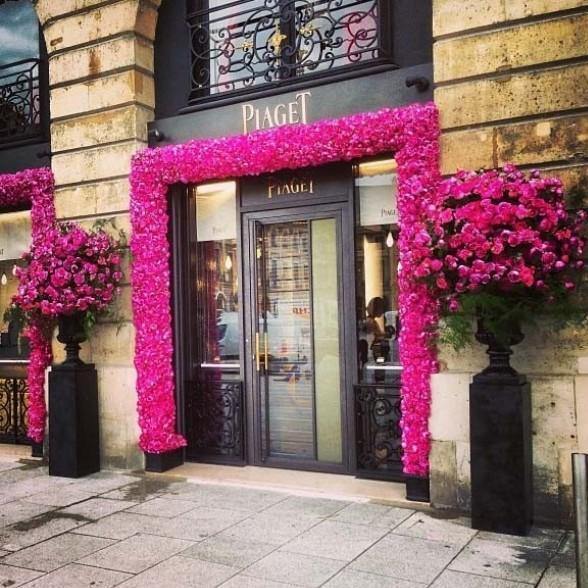 Gpt. Yves Piaget Butasi trandafiri de gradina butași trandafiri de grădină