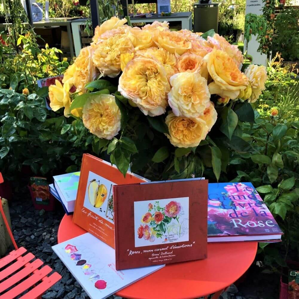 Henri Delbard Trandafir Teahibrid butași trandafiri de grădină