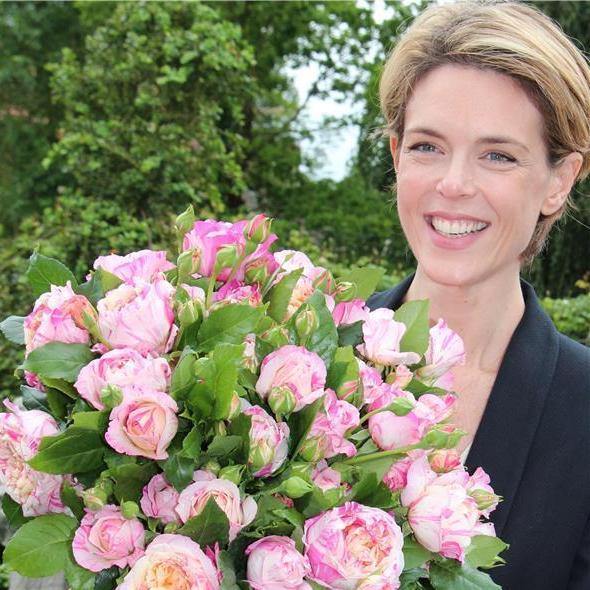 Julie Andrieu Trandafir Cățărător Urcător butași trandafiri de grădină