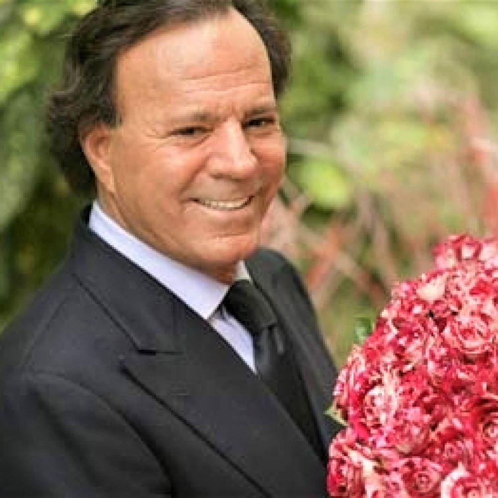 Julio Iglesias Trandafir Teahibrid butași trandafiri de grădină