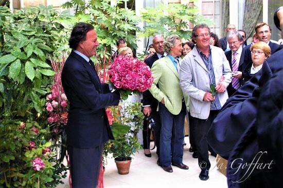 Julio Iglesias Trandafir Teahibrid butași trandafiri de grădină