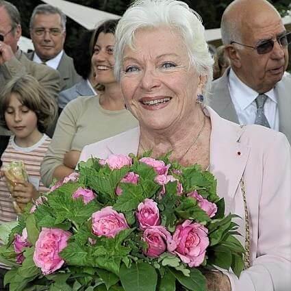 Line Renaud Butasi trandafiri de gradina butași trandafiri de grădină