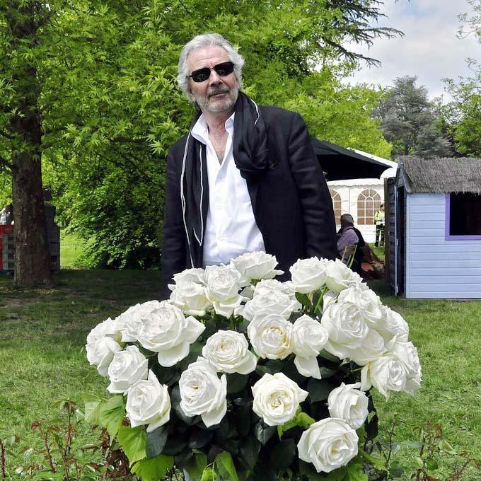 Pierre Arditi Trandafir Teahibrid butași trandafiri de grădină