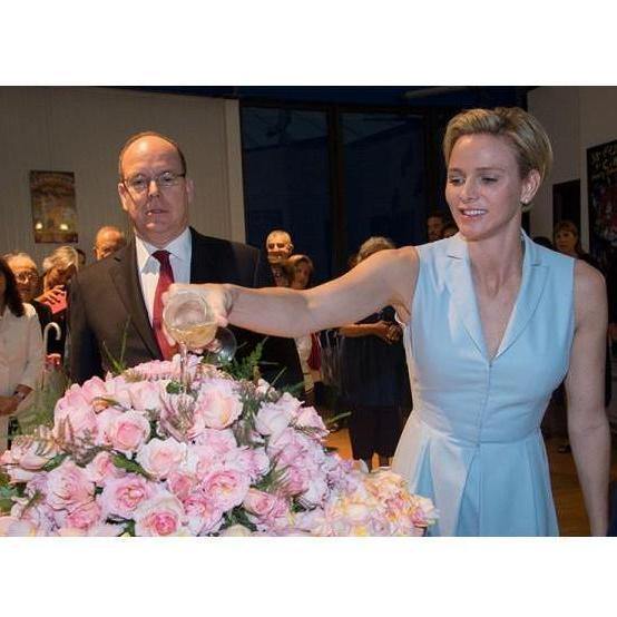 Princesse Charlene de Monaco Trandafir Teahibrid butași trandafiri de grădină