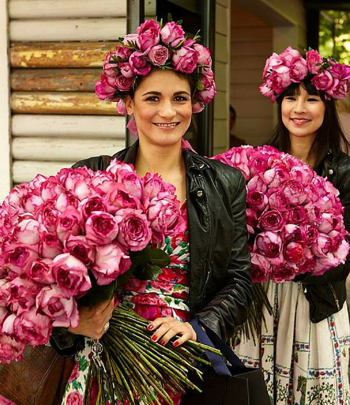 Yves Piaget Butasi trandafiri de gradina butași trandafiri de grădină