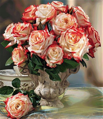 IMPERATRICE FARAH ® - Butasi trandafiri de gradina - Trandafir teahibrid creat in Franta de Delbard